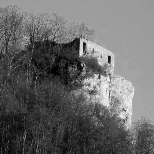 Meine Fotos